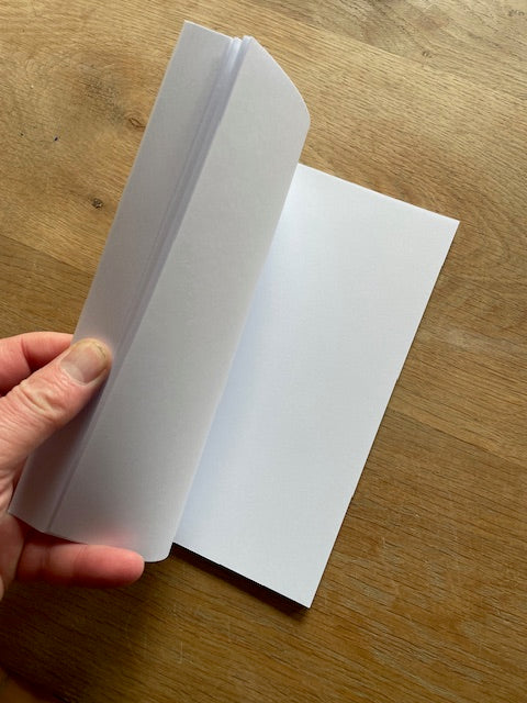 Donald Trump's Best Ideas (leeg boek)